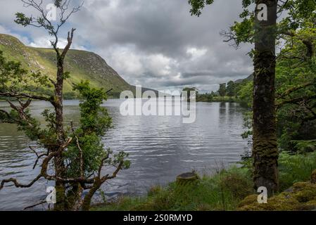 Der Lough Veagh im Glenveagh-Nationalpark, Irland, bietet einen ruhigen See, der von üppigem Grün und Bergen umgeben ist und eine ruhige und malerische Atmosphäre bietet Stockfoto