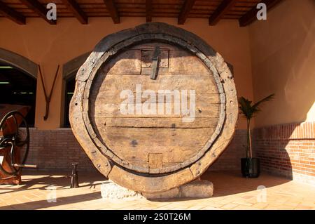 Agusti Torreló Weingut. Sant Sadurni de Anoia. Barcelona. Spanien Stockfoto