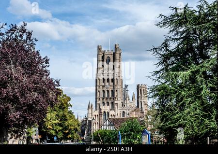 Kathedrale von Ely, Cambridgeshire Stockfoto