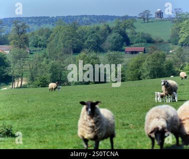 High Weald Landschaft mit dem Tower auf dem Gelände des Brightling Park. East Sussex, England Stockfoto