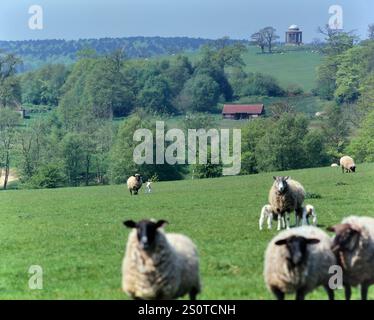 High Weald Landschaft mit dem Tower auf dem Gelände des Brightling Park. East Sussex, England Stockfoto