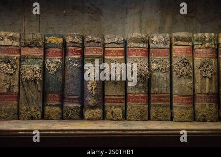 Klosterbibliothek Strahov, Alte Bücher, Prag, Tschechien. Stockfoto