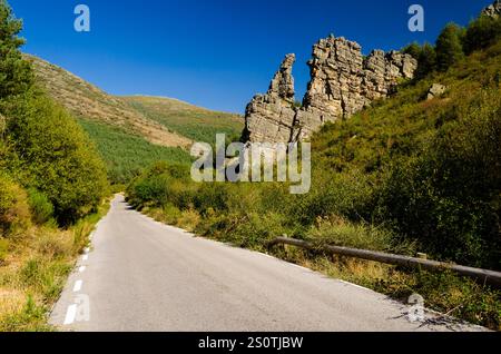 Naturpark La Tejera Negra. Guadalajara, Spanien Stockfoto