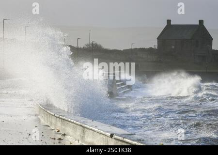 Prestwick, Großbritannien. Dezember 2024. Starke Winde von bis zu 50 km/h und Böen, die voraussichtlich stärker sind, weht vom Firth of Clyde zur Prestwick Promenade, Ayrshire, Schottland, Großbritannien Credit: Findlay/Alamy Live News Stockfoto