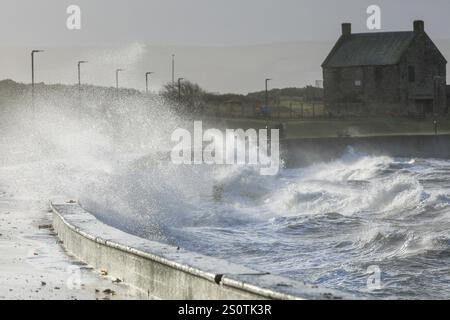 Prestwick, Großbritannien. Dezember 2024. Starke Winde von bis zu 50 km/h und Böen, die voraussichtlich stärker sind, weht vom Firth of Clyde zur Prestwick Promenade, Ayrshire, Schottland, Großbritannien Credit: Findlay/Alamy Live News Stockfoto