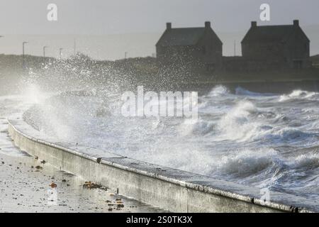 Prestwick, Großbritannien. Dezember 2024. Starke Winde von bis zu 50 km/h und Böen, die voraussichtlich stärker sind, weht vom Firth of Clyde zur Prestwick Promenade, Ayrshire, Schottland, Großbritannien Credit: Findlay/Alamy Live News Stockfoto