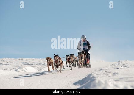 Pirena 2010, Tramacastilla de Tena. La Partacua, Huesca. Spanien Stockfoto