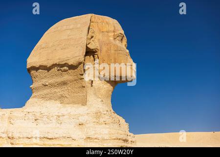 Panoramablick auf die große Sphinx von Gizeh in Kalkstein Panoramablick auf die große Sphinx von Gizeh in Kalksteingestein neben der Pyr Stockfoto