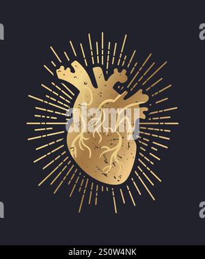 Eine fesselnde Vektor-Illustration mit einer handgezeichneten, strukturierten Darstellung eines anatomisch genauen menschlichen Herzens in schimmerndem Gold gegen einen slee Stock Vektor