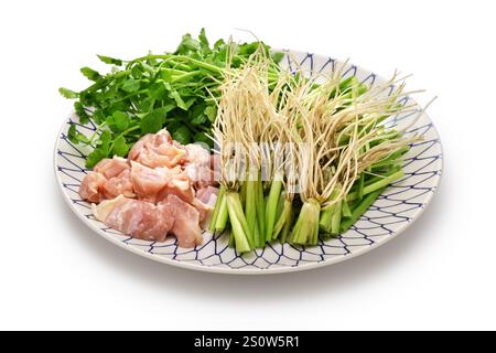 Zutaten für Sendai seri nabe ( Japanischer Petersilie-Hotpot ). Seri Roots sind ein köstliches Gericht. Stockfoto