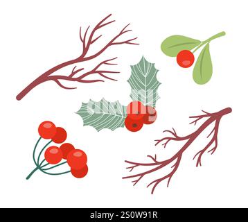 Dekoratives botanisches Weihnachtsset. Zweige, Mistelblätter und vogelbeeren. Winterpflanzen. Traditionelle Weihnachtsstern-Botanik. Wald Xmas ele Stock Vektor