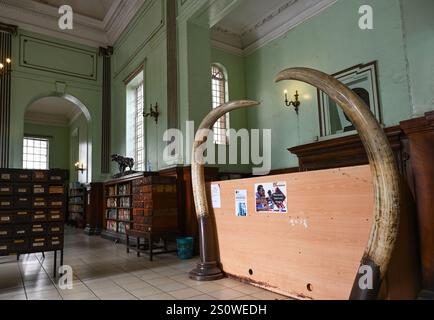 NAIROBI DOWNTOWN, KENIA - 13. NOVEMBER 2022: Empfang in der McMillan Memorial Library in Nairobi. Kenia, Afrika Stockfoto