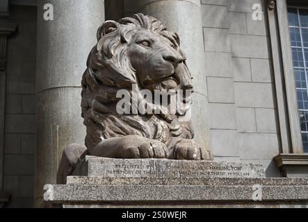 NAIROBI DOWNTOWN, KENIA - 13. NOVEMBER 2022: Steinlöwe bewacht den Eingang zur McMillan Bibliothek in Nairobi. Kenia, Afrika Stockfoto