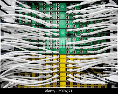 Eine Gruppe von Niederspannungskabeln ist sorgfältig mit der Rückseite von Servern verbunden, die in einem eleganten, modernen Rack untergebracht sind. Stockfoto
