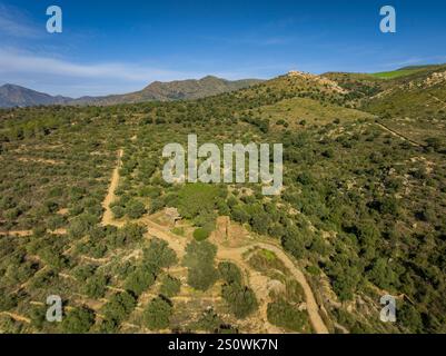 Dolmen der Creu d'en Cobertella, im Cap de Creus, innerhalb der Megalithroute der Rosen (Alt Empordà, Girona, Katalonien, Spanien) Stockfoto