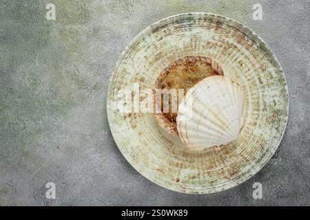 Jakobsmuscheln, gefüllt, mit Käse gebacken, im Ofen, Julienne mit Jakobsmuscheln Stockfoto