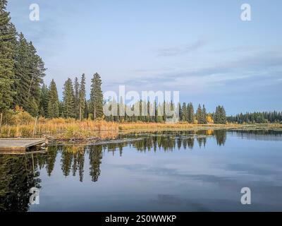 Eine ruhige Seeszene mit hohen immergrünen Tönen, klarem Himmel und ruhigem Wasser, das den umliegenden Wald reflektiert. Stockfoto