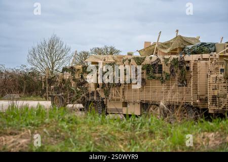 Nahaufnahme einer getarnten britischen Armee 6x6 6-Rad-Mastiff schützte Patrouillenfahrzeuge bei einer militärischen Übung Stockfoto