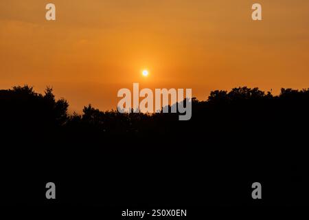 Purple Island Al Khore Doha Katar am 12/2024 Stockfoto