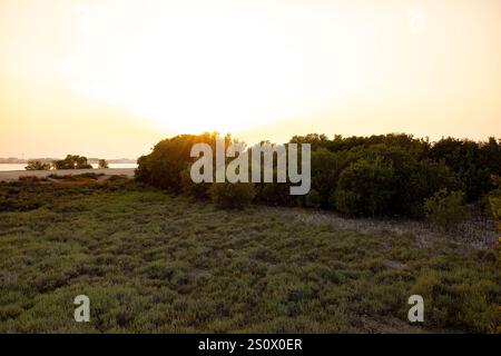 Purple Island Al Khore Doha Katar am 12/2024 Stockfoto