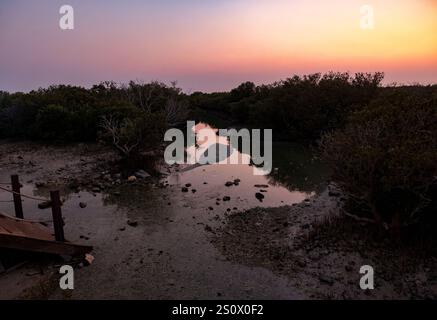 Purple Island Al Khore Doha Katar am 12/2024 Stockfoto