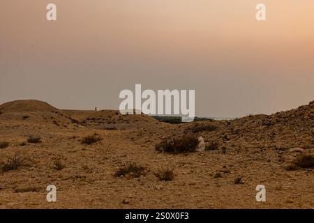 Purple Island Al Khore Doha Katar am 12/2024 Stockfoto