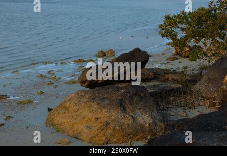 Purple Island Al Khore Doha Katar am 12/2024 Stockfoto