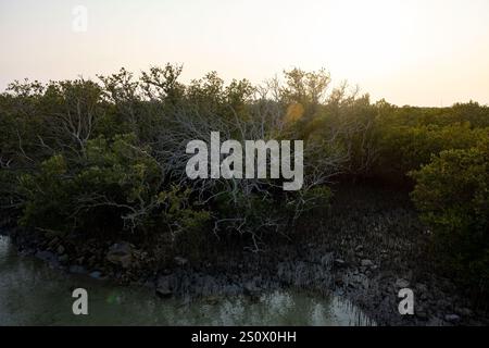 Purple Island Al Khore Doha Katar am 12/2024 Stockfoto