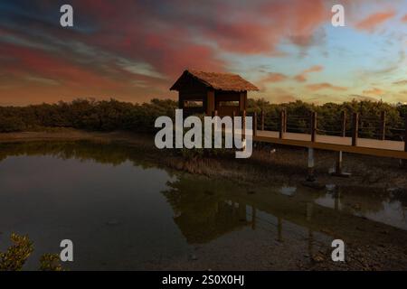 Purple Island Al Khore Doha Katar am 12/2024 Stockfoto