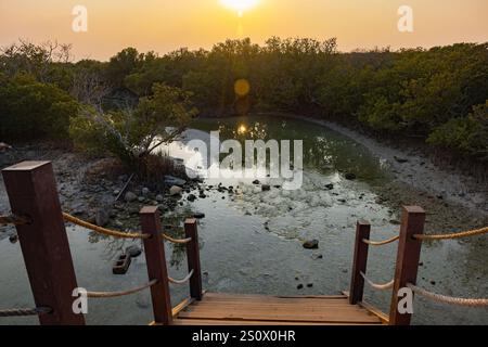 Purple Island Al Khore Doha Katar am 12/2024 Stockfoto