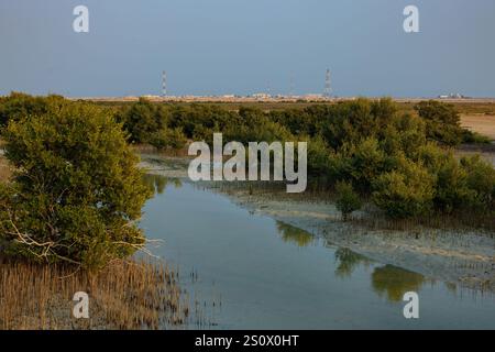 Purple Island Al Khore Doha Katar am 12/2024 Stockfoto