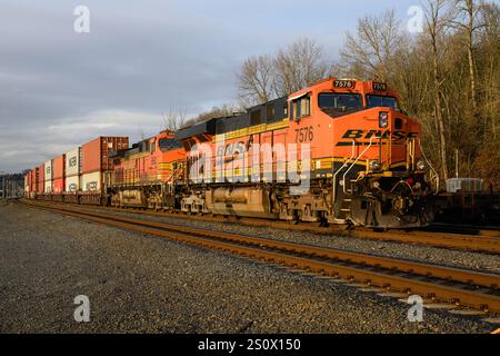 Seattle, WA, USA - 16. Dezember 2024; BNSF intermodaler Containerzug mit mehreren Gleisen Stockfoto