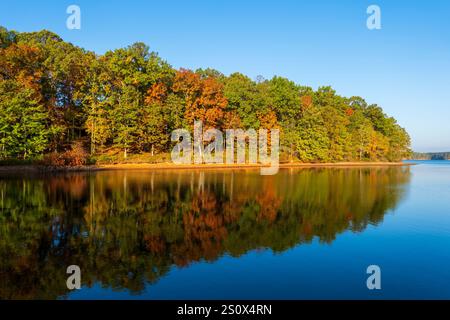 Herbstfarben auf dem ruhigen Wasser einer Bucht am Bay Springs Lake am Tennessee Tombigbee River in Mississippi im Herbst. Stockfoto