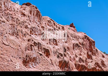 Wabenwitterung ist an Felsformationen im Long Canyon entlang der Burr Trail Road, Utah, USA, zu beobachten Stockfoto