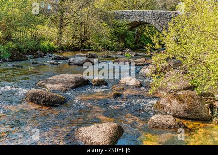 East Dart River bei Badger Holt in der Nähe der Dartmeet Bridge, Dartmoor National Park, Devon, England, Großbritannien Stockfoto