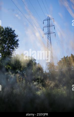 Der Powerline-Turm erhebt sich unter klarem Himmel über der Natur. Stockfoto