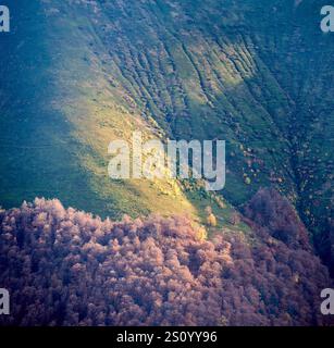 Atemberaubende Aussicht auf das Tal mit üppigen grünen Hängen und herbstfarbenen Bäumen, die das raue Gelände und die natürliche Schönheit der Landschaft hervorheben. Stockfoto