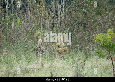 Ein Paar britische Armee tarnte Soldaten der Spezialkräfte, die durch hohe Gräser in Waldbedeckung zogen Stockfoto