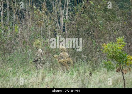 Ein Paar britische Armee tarnte Soldaten der Spezialkräfte, die durch hohe Gräser in Waldbedeckung zogen Stockfoto