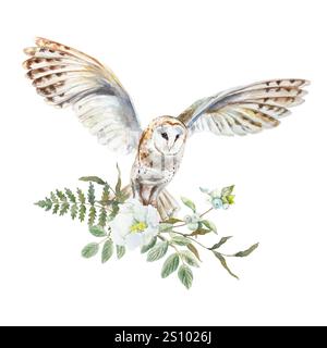 Scheuneneule fliegt mit einem Blumenstrauß aus weißer Blume, grünen Blättern, Farn, Schneebeere. Handgezeichnete Aquarellillustration isoliert auf weiß. Für Grußkarten, Stockfoto