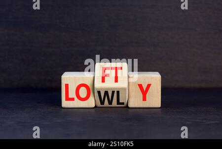 Symbol „hoch“ oder „niedrig“. Concept Words Lofty niedrig auf Holzblock. Schöner oranger Tisch mit orangefarbenem Hintergrund. Geschäftliches oder schwaches Konzept. Spac kopieren Stockfoto