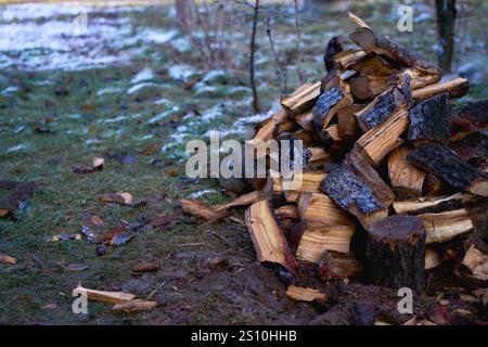 Das feuchte, gehackte Brennholz auf einem Haufen draußen im Winter Stockfoto