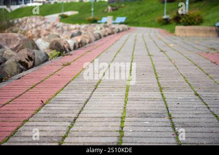 Gepflasterter Pfad entlang des Wasserkörpers. Der Weg besteht aus zwei Arten von Pflastersteinen: Grau und rot. Die rote Farbe bildet eine Linie auf beiden Seiten des Tracks. Stockfoto