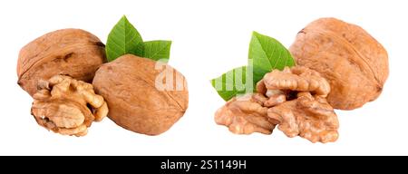 Walnüsse mit Blatt auf weißem Hintergrund. Stockfoto