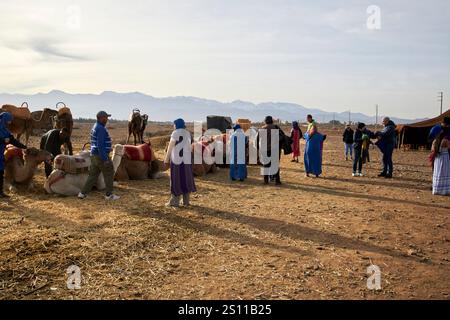 Die Reisegruppe bereitet sich vor, Kamele auf einem Kamelritt in douar bou azza marokko zu besteigen Stockfoto