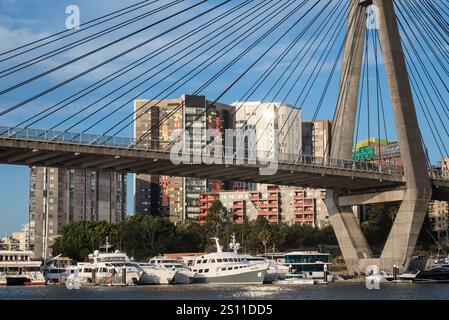 Blick auf die Anzac Bridge vom Glebe Foreshore Walk, Glebe, einem innerwestlichen Vorort, Sydney, NSW, Australien Stockfoto