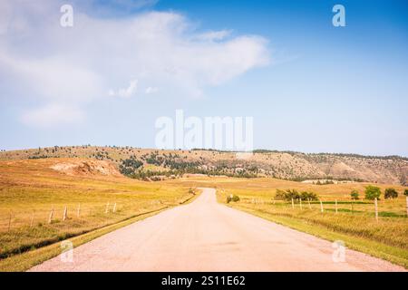 Leere Straße, die zu Black Hills im Wind Cave National Park in South Dakota führt. Stockfoto