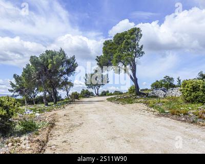 Malerischer Blick auf eine gewundene, unbefestigte Straße, die durch eine mediterrane Landschaft mit Kiefern und Trockenmauern unter einem wolkenblauen Himmel führt Stockfoto