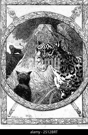 Fables de La Fontaine - Auguste Delierre - Le Lion. Stockfoto