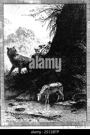 Fables de La Fontaine - Auguste Delierre - Le Loup et l'Agneau. Stockfoto